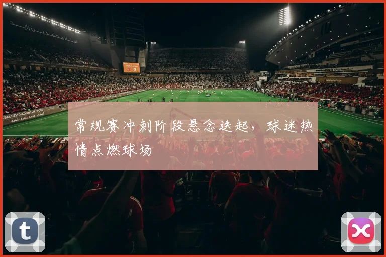 常规赛冲刺阶段悬念迭起，球迷热情点燃球场